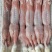 生鲜兔肉新鲜兔肉农家散养肉质饱满，绿色健康整只装