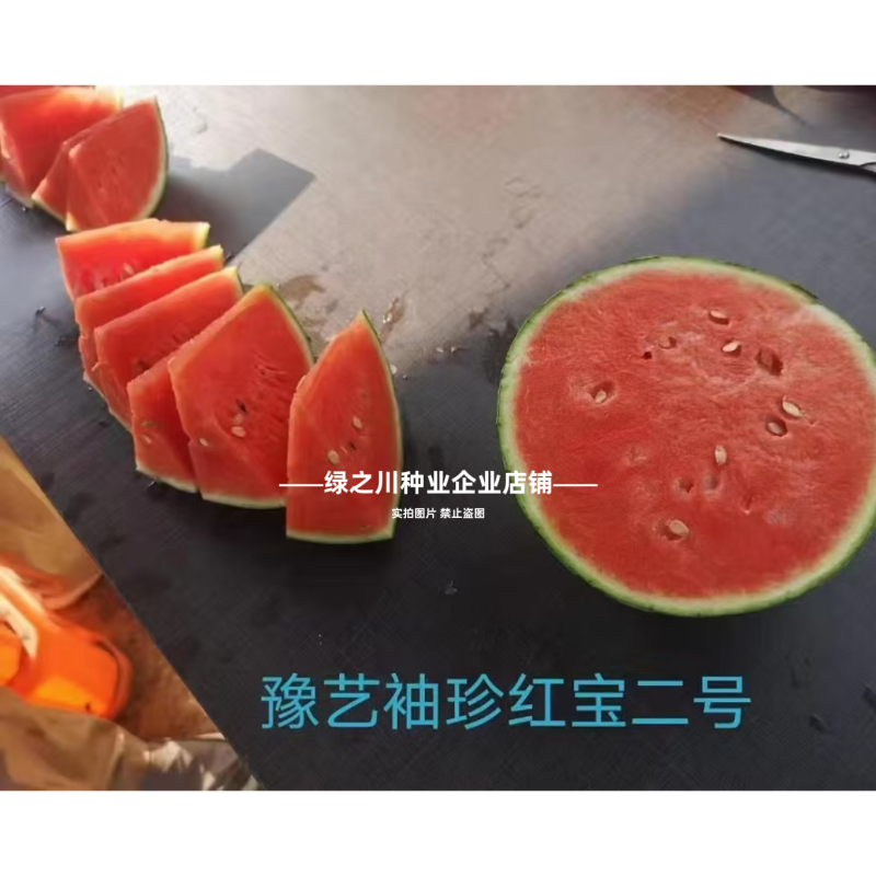 早熟礼品西瓜种子薄皮少籽小型西瓜种子水果种籽高产袖珍西瓜