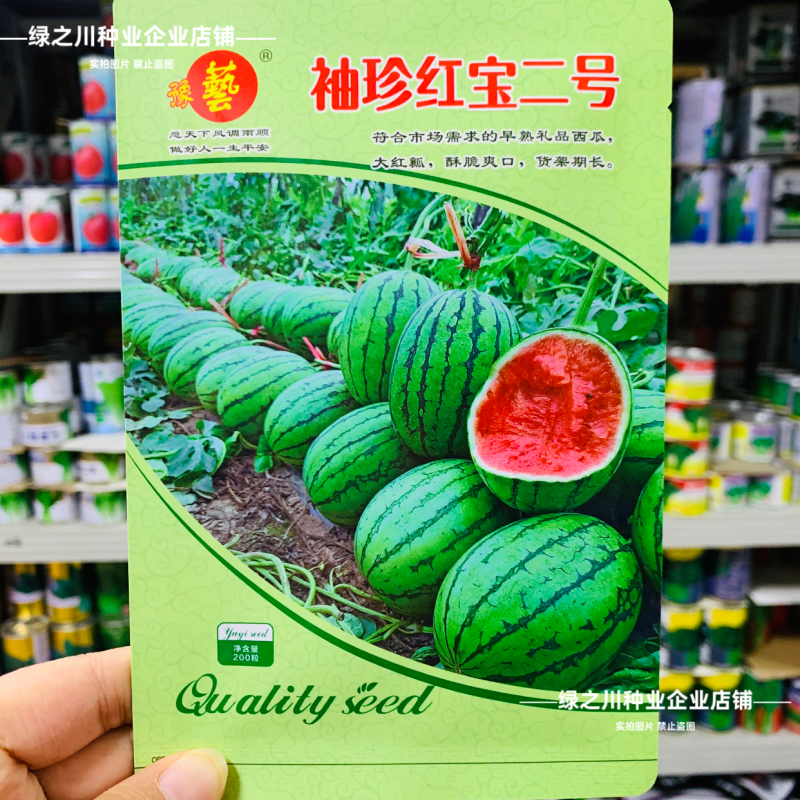 早熟礼品西瓜种子薄皮少籽小型西瓜种子水果种籽高产袖珍西瓜