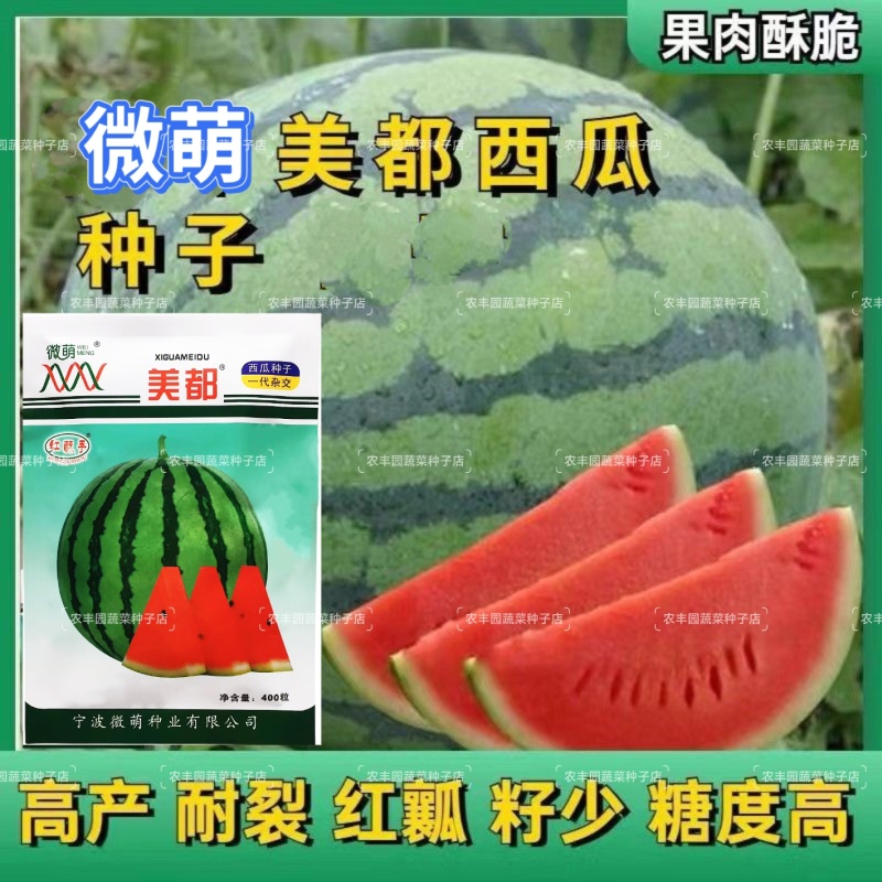 微萌美都西瓜种子高产皮薄个大口感好甜度高好吃好卖原装