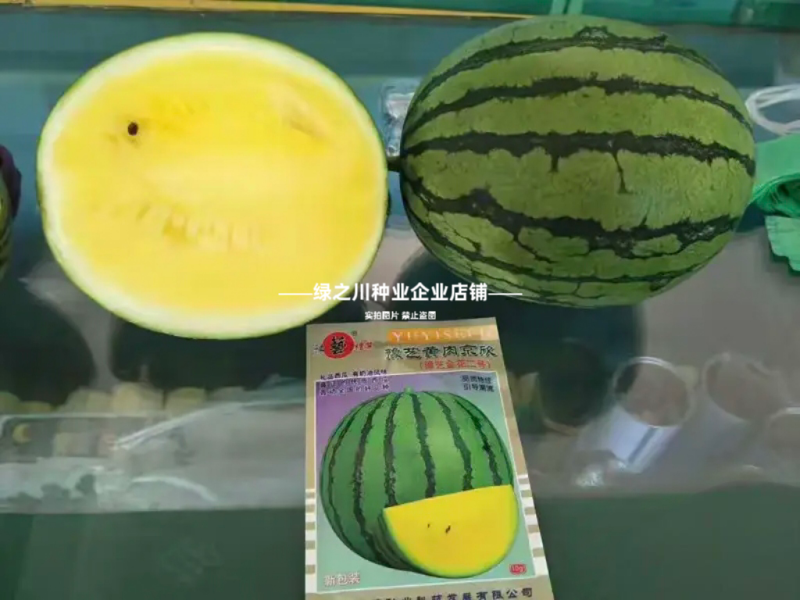 奶油西瓜种籽超甜黄瓤西瓜种子皮薄少籽种子黄心礼品西瓜种子