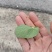 高原出口精品豌豆苗，畅销香港，上海