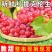甘肃省张掖市冬暖大棚克伦生红提，全国晚大棚鲜果等你采摘