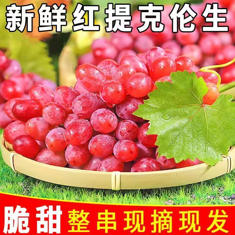 甘肃省张掖市冬暖大棚克伦生红提，全国晚大棚鲜果等你采摘