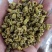 正宗霍山米斛(5年生）