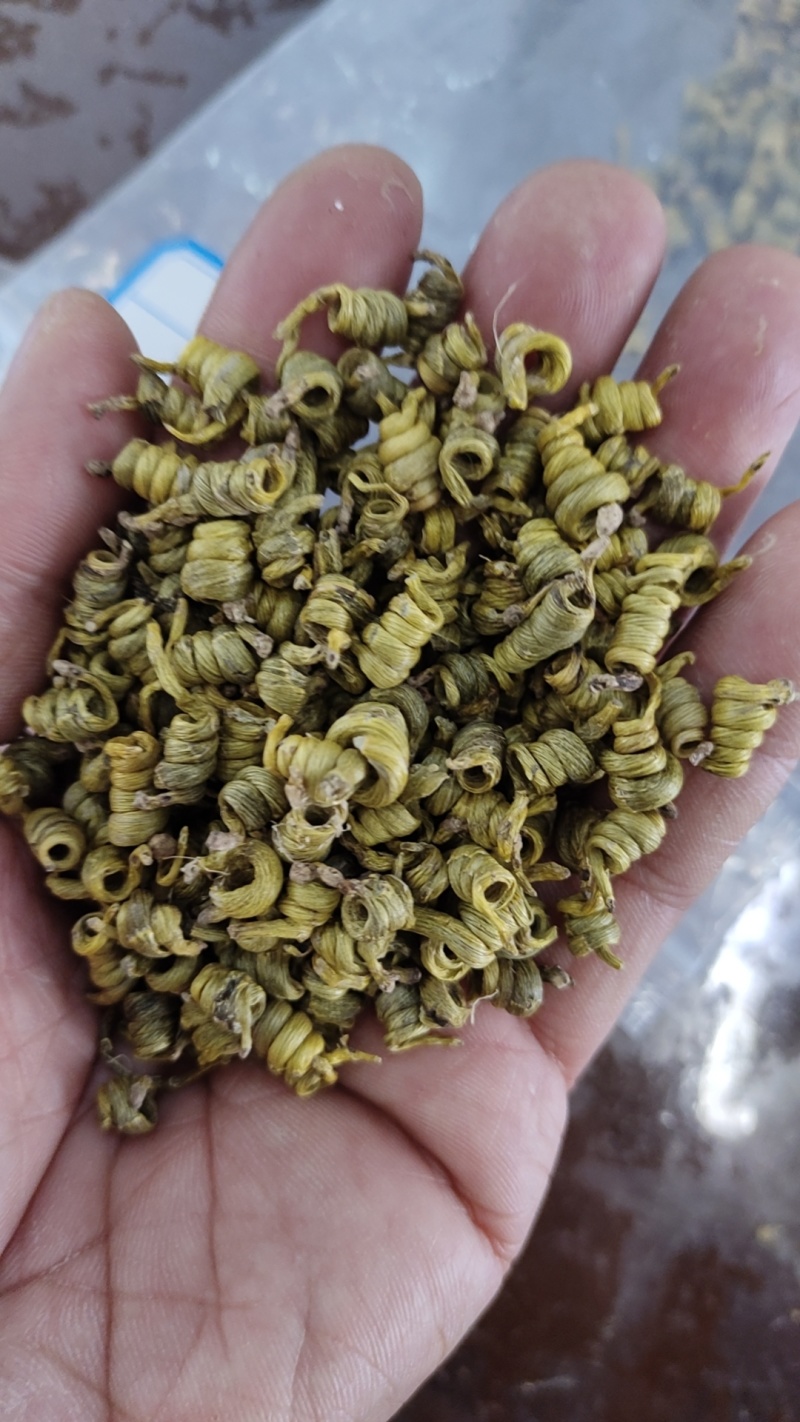 正宗霍山米斛(5年生）
