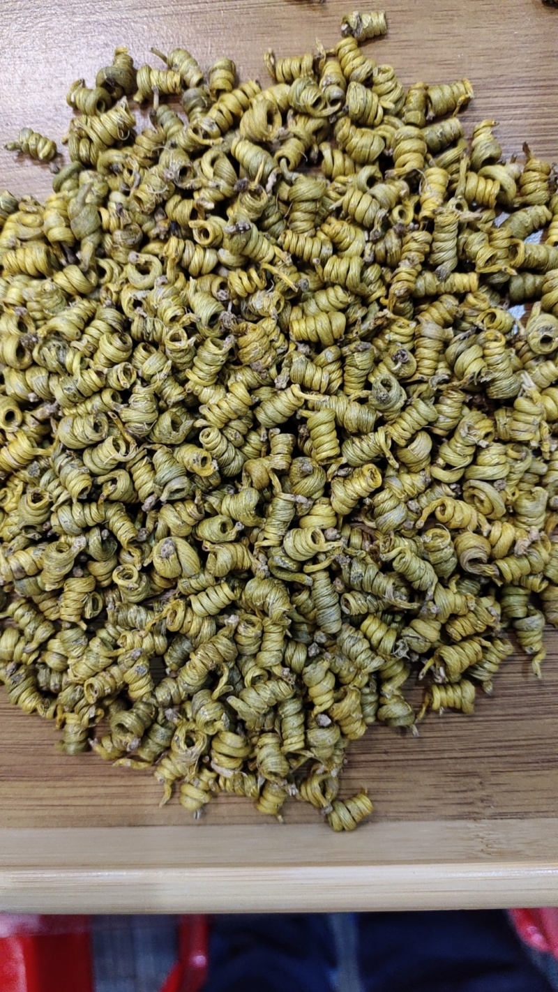 正宗霍山米斛(5年生）
