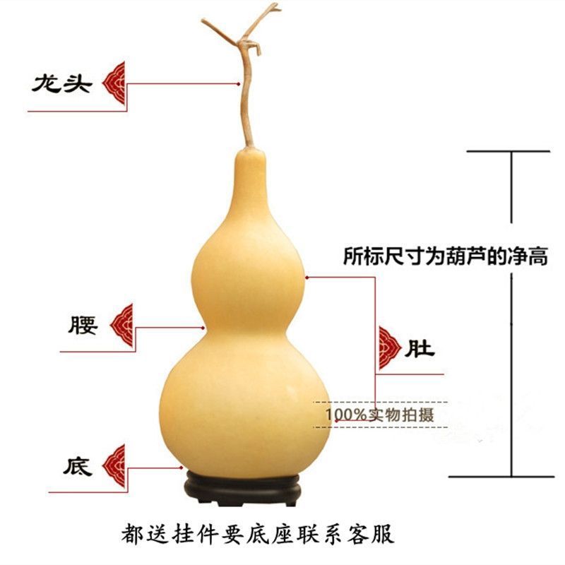 山西大亚腰葫芦30-60厘米大葫芦，大量上市，诚信经营