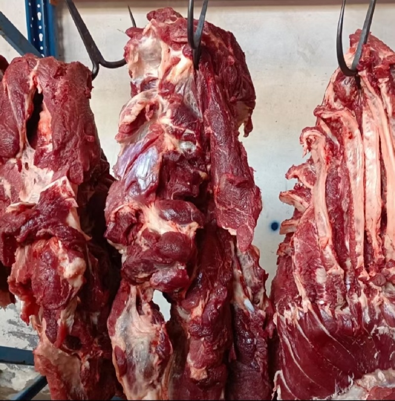 牛肉本地新鲜黄牛肉每天现杀精修无水无油