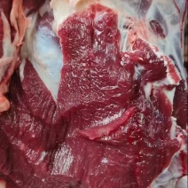 牛肉本地新鲜黄牛肉每天现杀精修无水无油