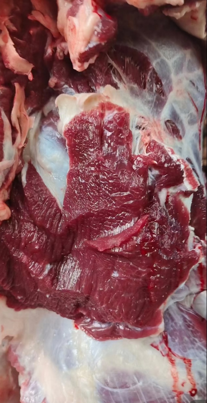 牛肉本地新鲜黄牛肉每天现杀精修无水无油