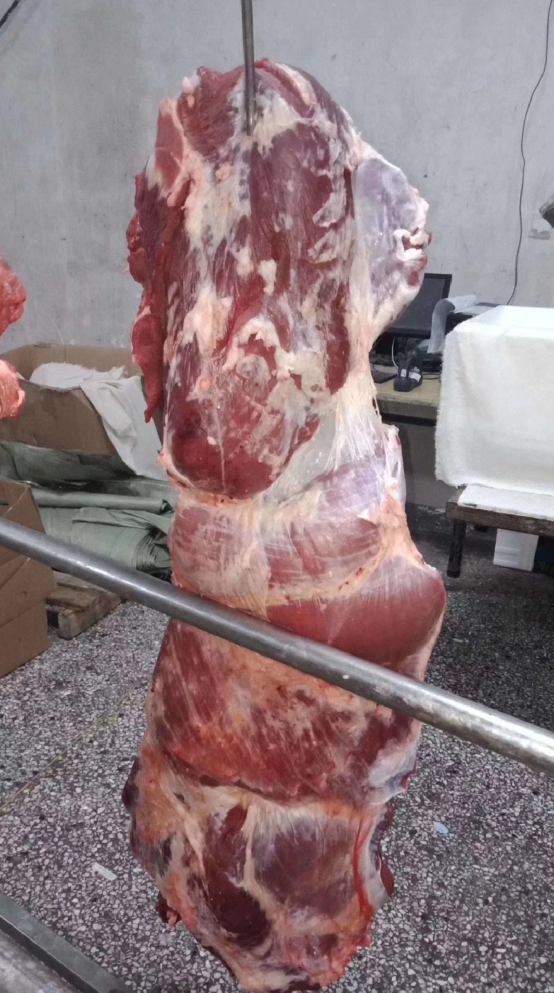 牛肉本地新鲜黄牛肉每天现杀精修无水无油