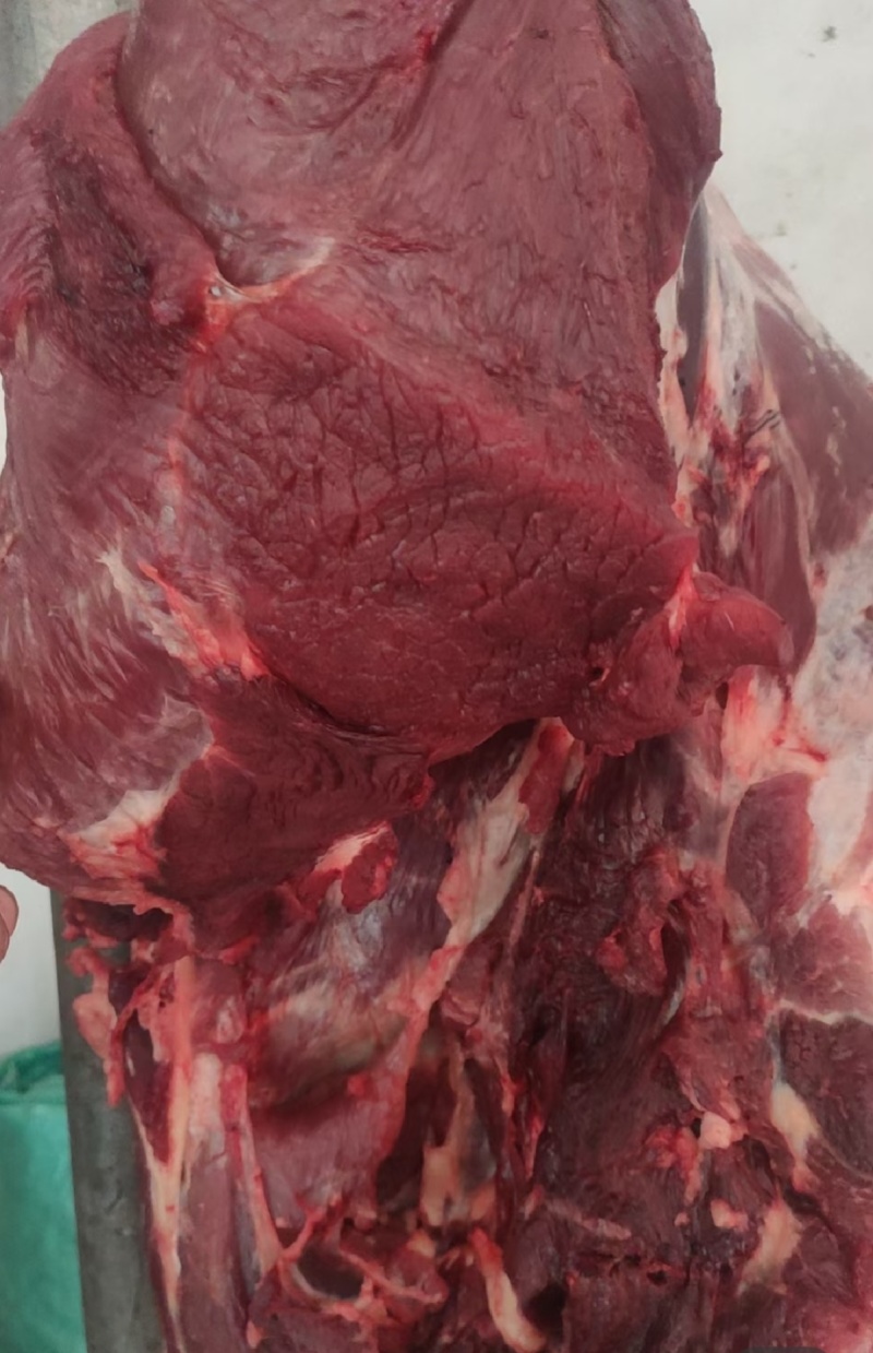 牛肉本地新鲜黄牛肉每天现杀精修无水无油