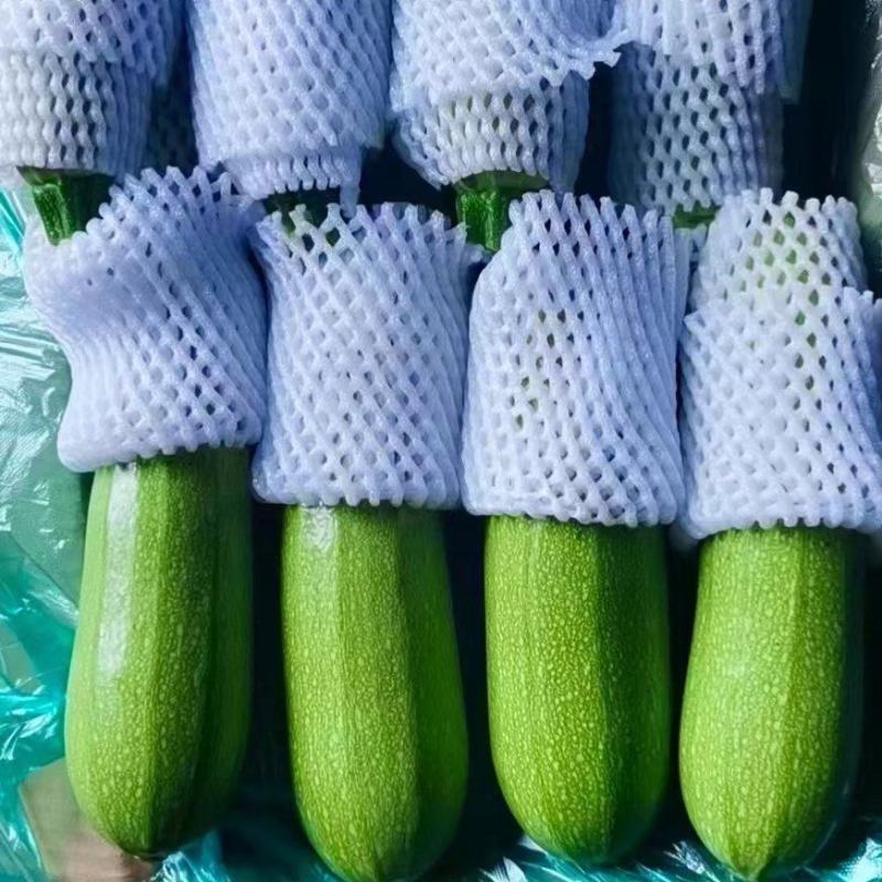 精品西葫芦