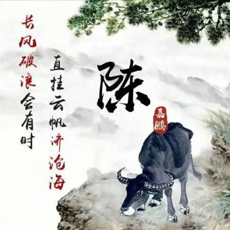 沙沟韭菜上市