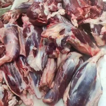 国产鲜牛腱子