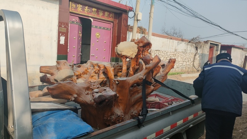 自然根雕老桩