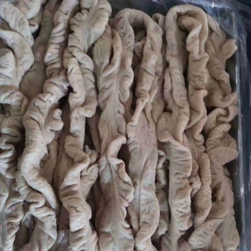 8成熟大肠，清水煮的，处理干净，没有断肠没有花肠