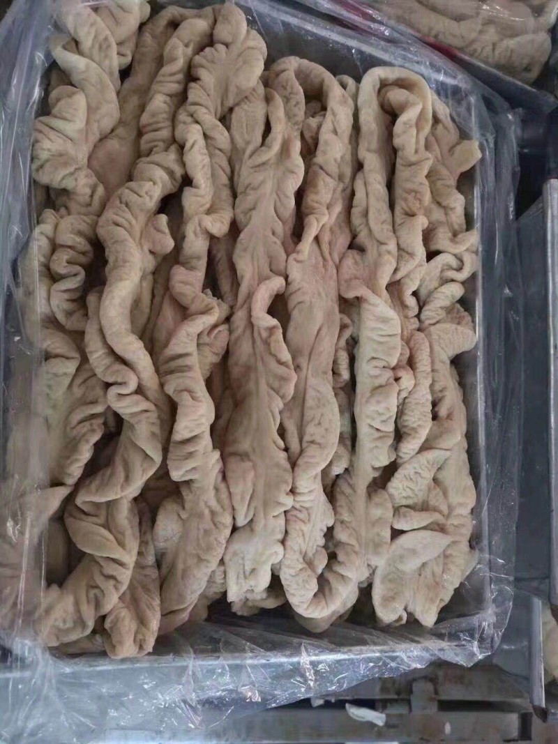 8成熟大肠，清水煮的，处理干净，没有断肠没有花肠