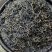 红茶英红九号,英德红茶,香甜回甘2024年春茶500克