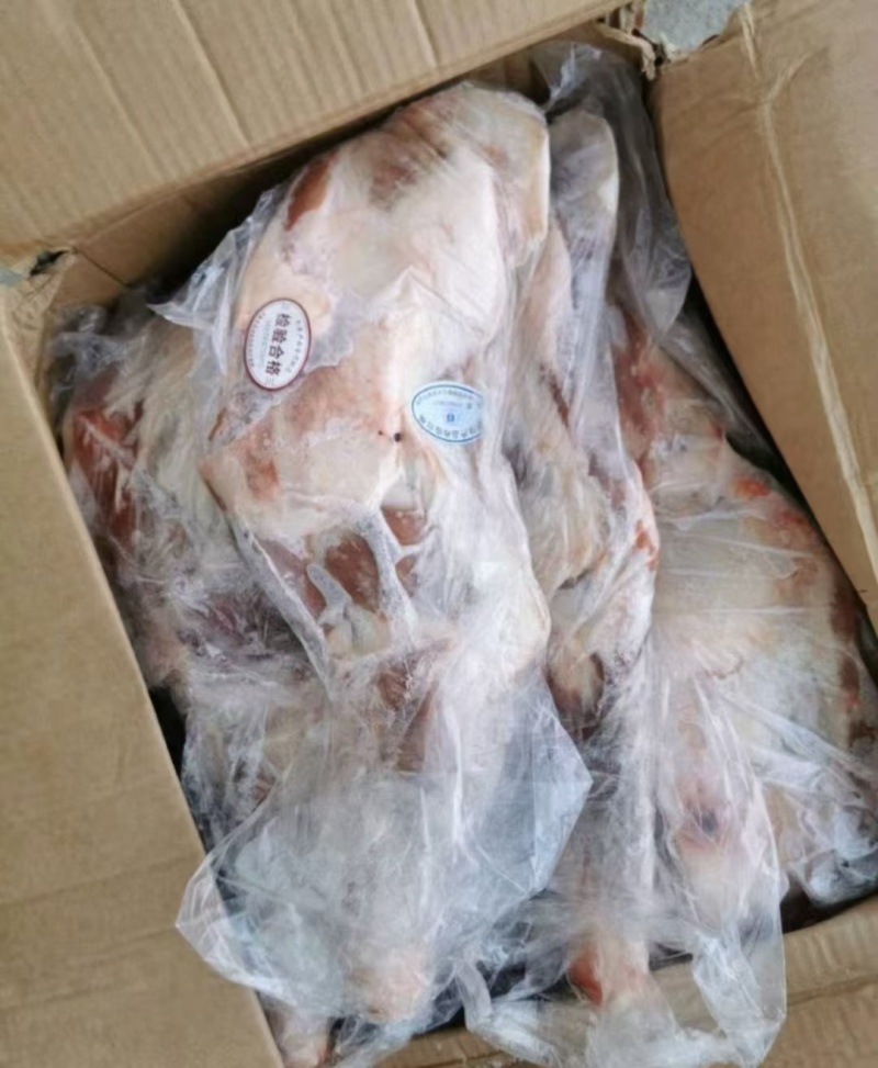 羊腿国产羔羊腿纯干无冰无水精修无油大小均匀
