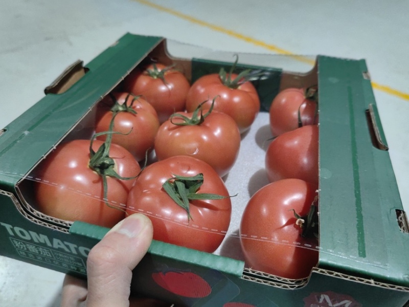 纯口感无土栽培温室无菌基地培育！！！