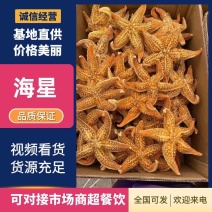 本公司常年加工海五星，精品，酒店自助用途广，全国发货，