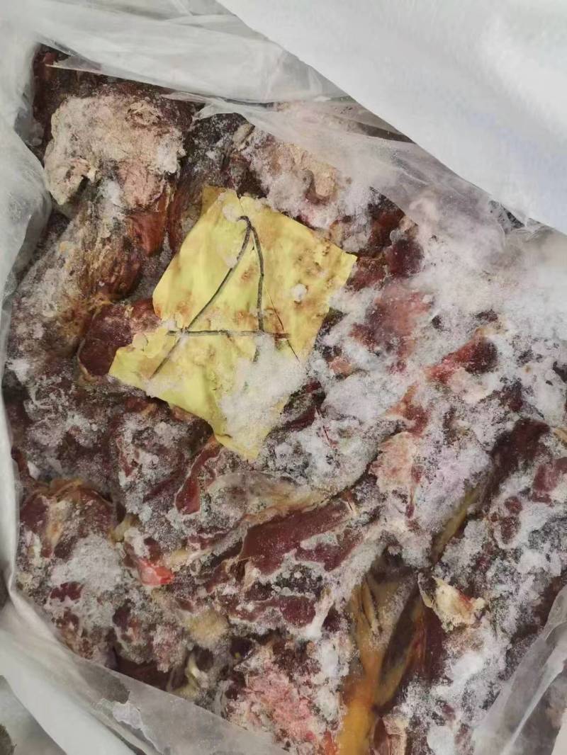 大日期马肉