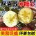 【新疆阿克苏彩箱冰糖心】苹果5斤/9斤新鲜水果应季红富