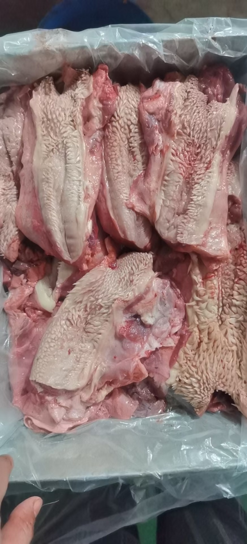 【牛腮肉】冻牛头缓化剔下来的嘴叉子，二次加工产品，纯干货