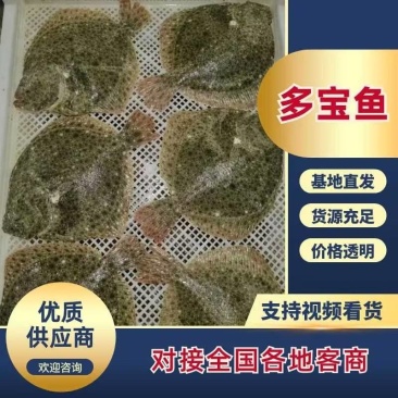 单冻多宝鱼，全规格，需要了抓紧，质量稳定，一手货源