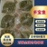 单冻多宝鱼，全规格，需要了抓紧，质量稳定，一手货源