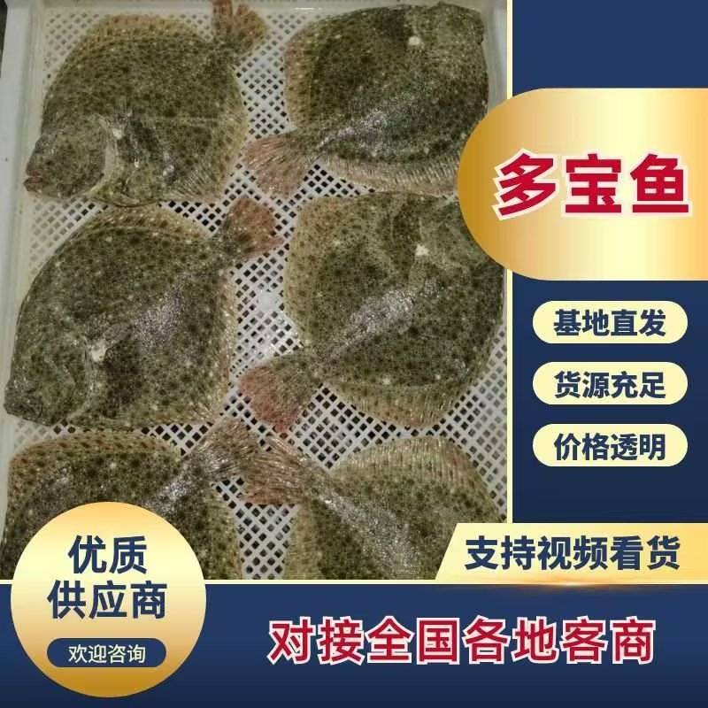 单冻多宝鱼，全规格，需要了抓紧，质量稳定，一手货源