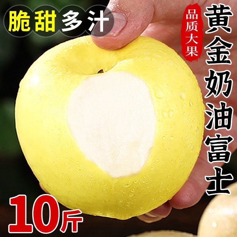 烟台奶油富士苹果水果新鲜维纳斯奶香黄皮牛奶黄金白色冰糖心
