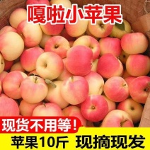 陕西嘎啦苹果新鲜水果冰糖心红富士丑苹果整箱批发