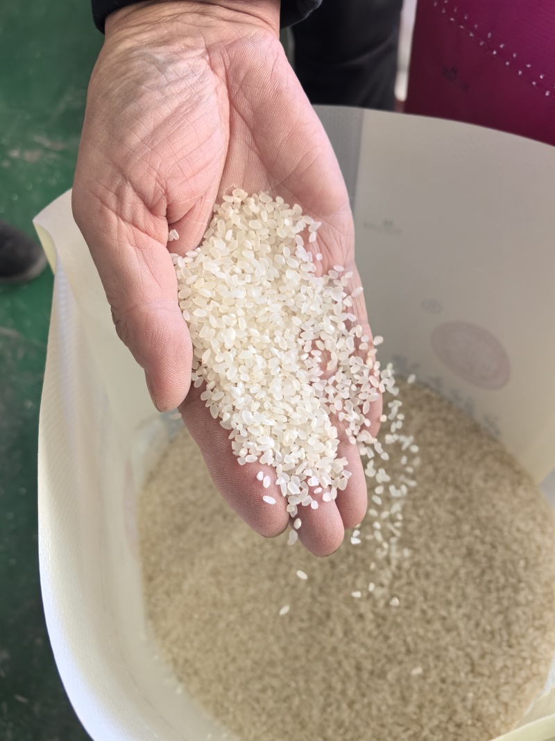 东北黑龙江佳木斯新米珍珠米