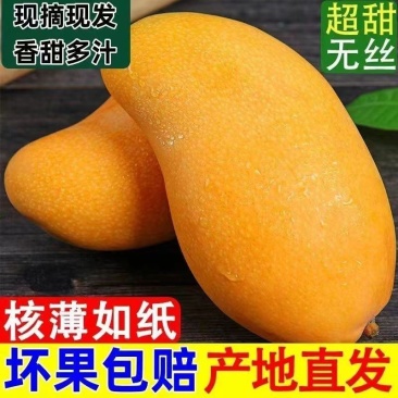 海南金煌芒果特大整箱批发当季黄心新鲜大果甜心金煌芒海南直