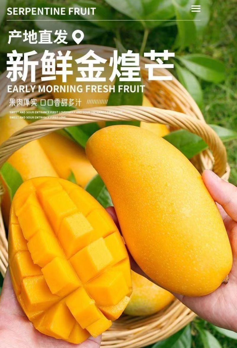海南金煌芒果特大整箱批发当季黄心新鲜大果甜心金煌芒海南直