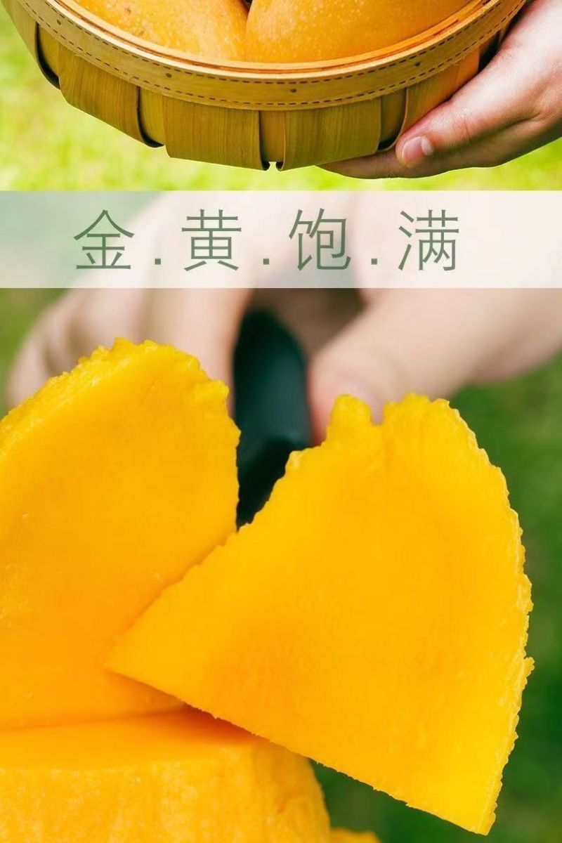 海南金煌芒果特大整箱批发当季黄心新鲜大果甜心金煌芒海南直