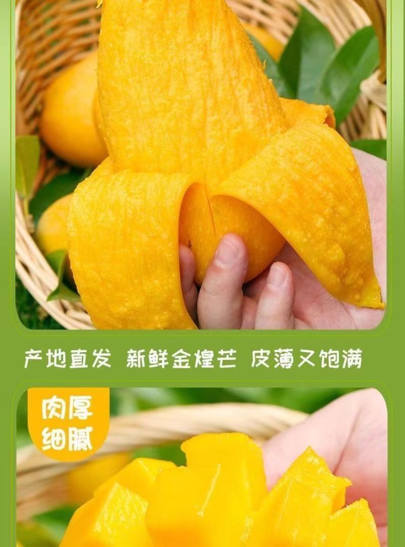 海南金煌芒果特大整箱批发当季黄心新鲜大果甜心金煌芒海南直