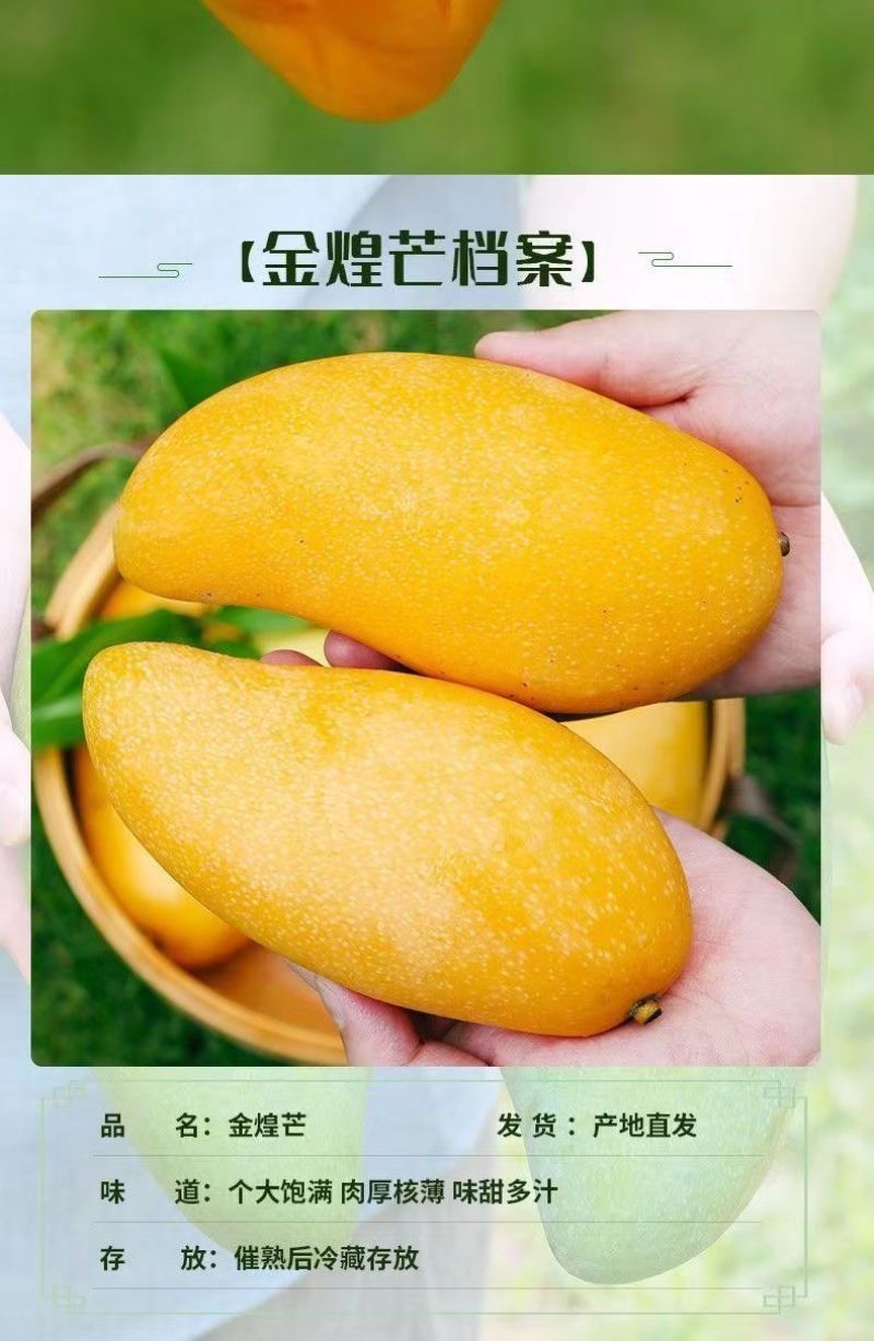 海南金煌芒果特大整箱批发当季黄心新鲜大果甜心金煌芒海南直