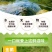 海南金煌芒果特大整箱批发当季黄心新鲜大果甜心金煌芒海南直