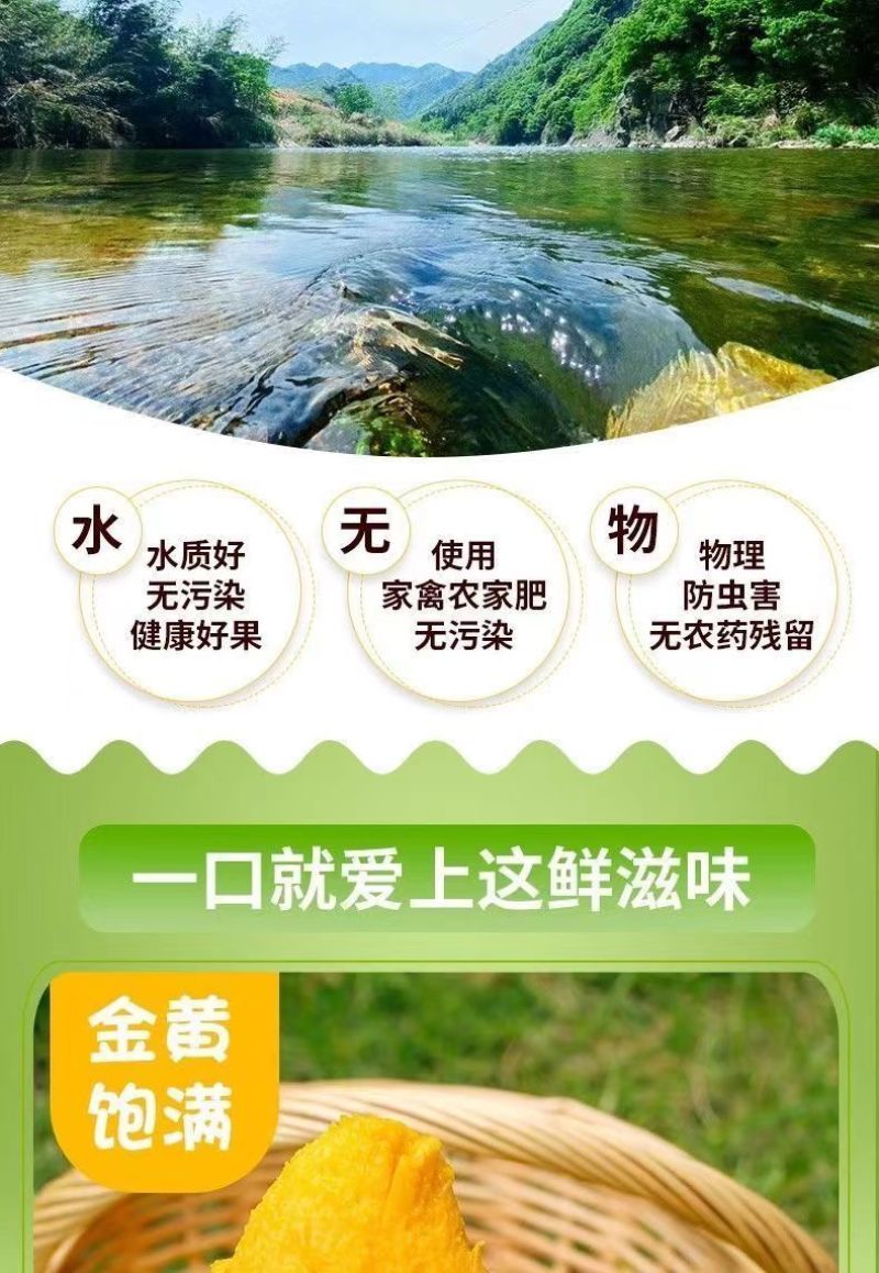 海南金煌芒果特大整箱批发当季黄心新鲜大果甜心金煌芒海南直