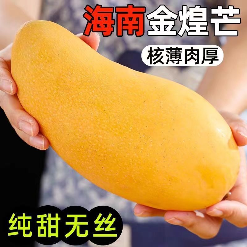 海南金煌芒果特大整箱批发当季黄心新鲜大果甜心金煌芒海南直