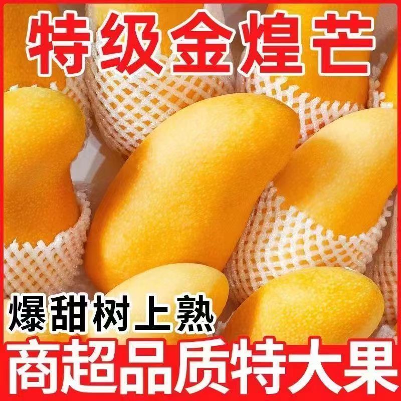 海南金煌芒果特大整箱批发当季黄心新鲜大果甜心金煌芒海南直