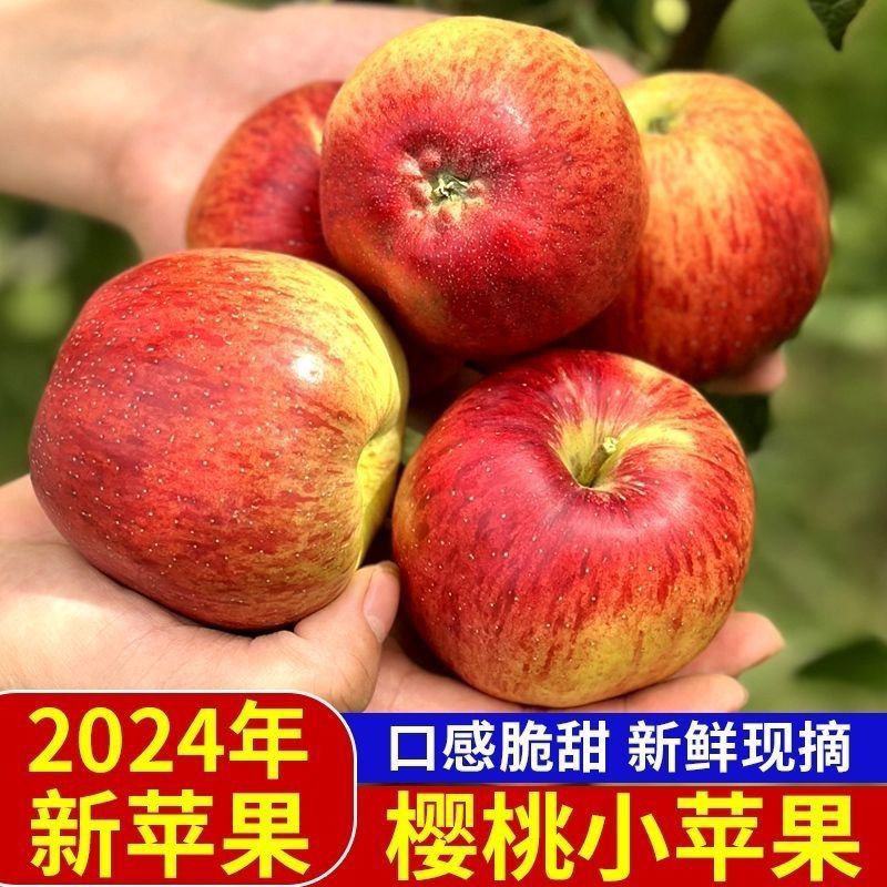 云南高山樱桃小苹果新鲜水果脆酸甜无冰糖心樱桃苹果