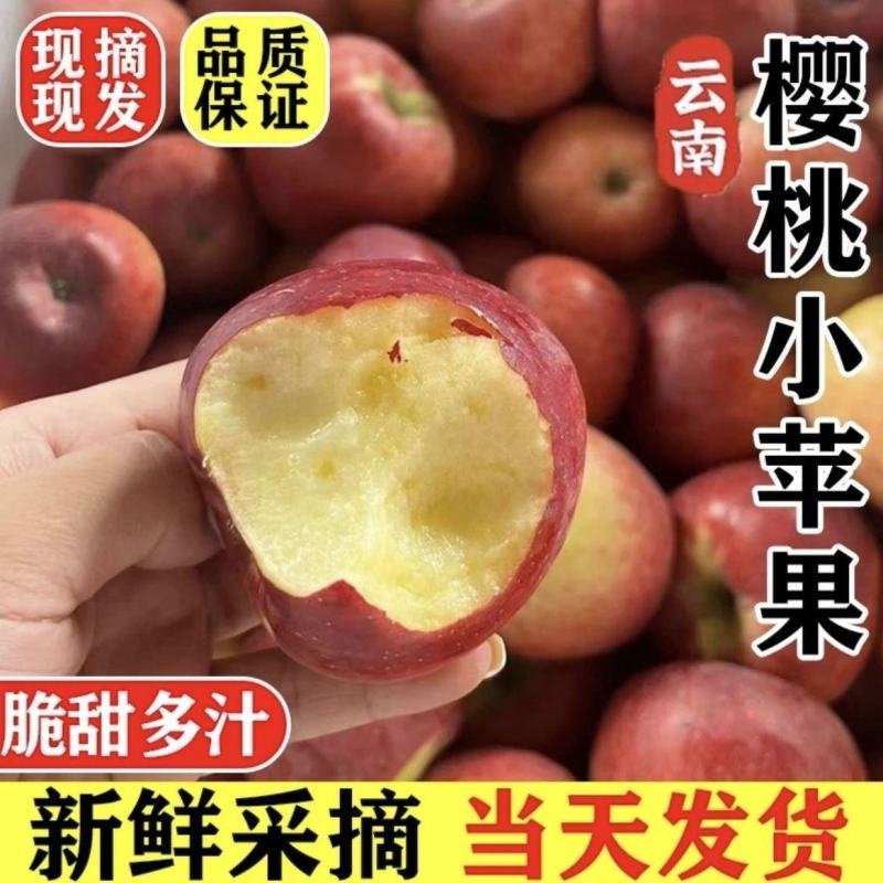 云南高山樱桃小苹果新鲜水果脆酸甜无冰糖心樱桃苹果