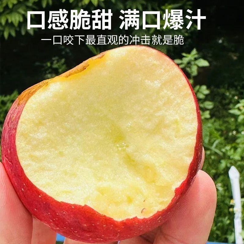 云南高山樱桃小苹果新鲜水果脆酸甜无冰糖心樱桃苹果