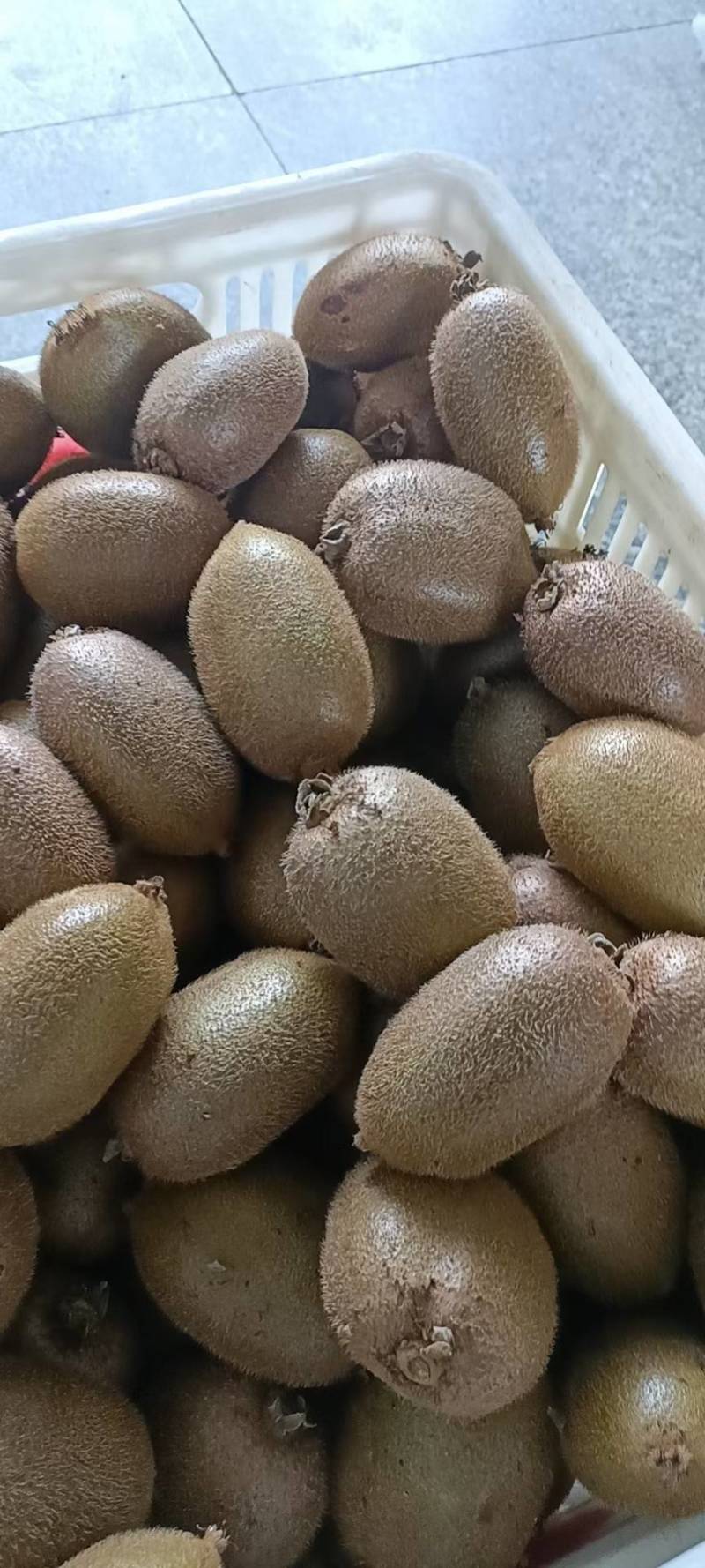 大量供应，新鲜绿心猕猴桃，果肉细腻，酸甜可口，营养丰富，健