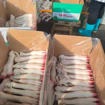 羊蹄纯手工水褪羊蹄源头厂家量大从优